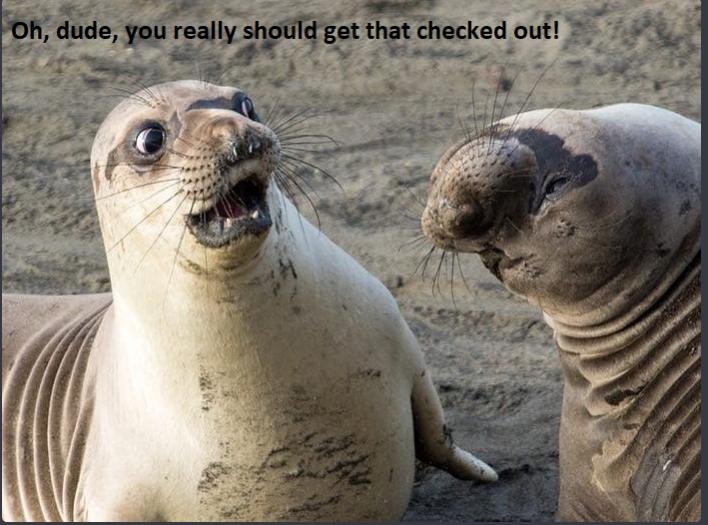 Name:  2022_09_24_07_16_08_Window.jpg
Views: 80
Size:  64.5 KB