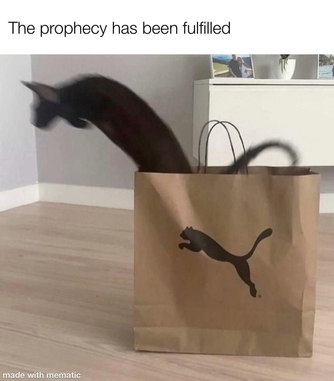 Name:  20220923_203313.jpg
Views: 46
Size:  70.3 KB