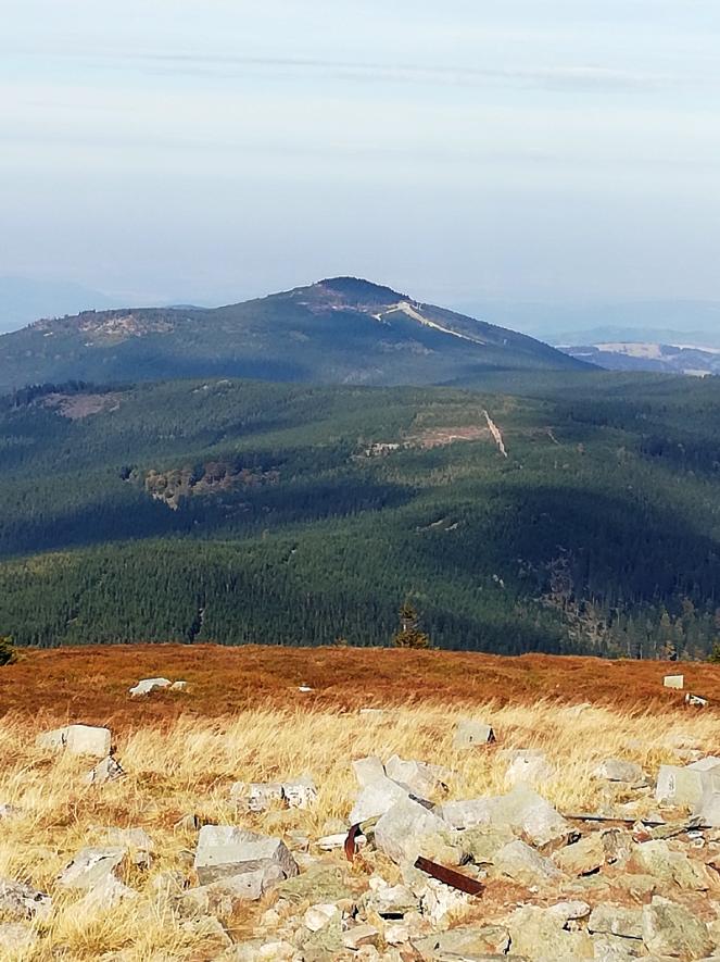 Name:  jesien.jpg
Views: 93
Size:  95.0 KB