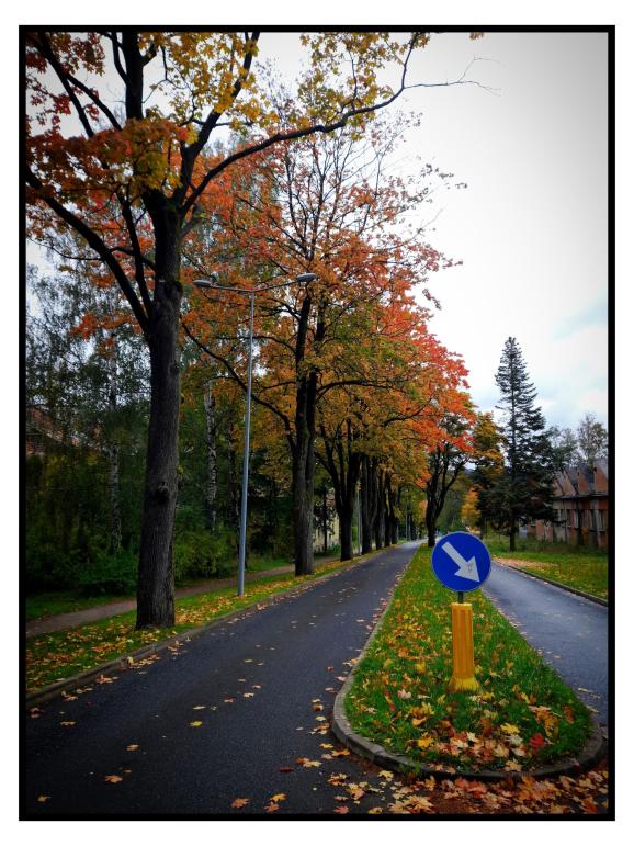 Name:  308850539_844869493546965_945307544149447858_n.jpg
Views: 86
Size:  100.1 KB