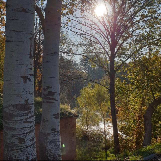 Name:  20220928_161814.jpg
Views: 75
Size:  97.2 KB