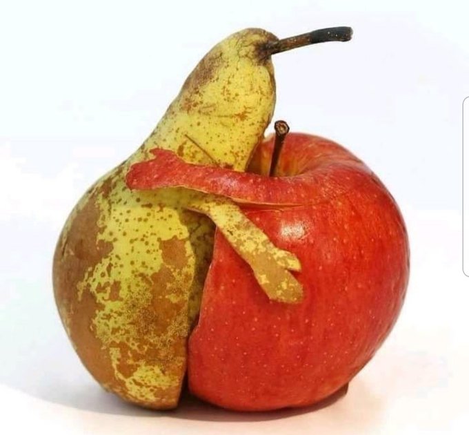 Name:  FdrP7wQXoAIyR17.jpg
Views: 53
Size:  50.1 KB