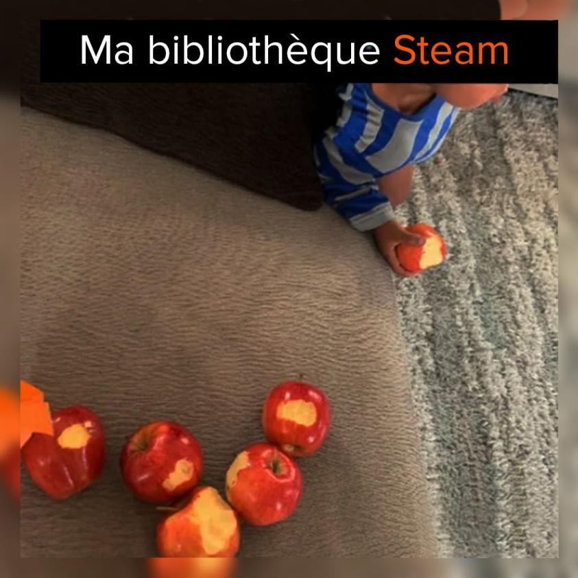 Name:  Ma_bibliotheque_steam.jpg
Views: 42
Size:  81.5 KB