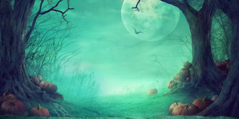 Name:  Historiaterrorunalinea.jpg
Views: 237
Size:  36.6 KB