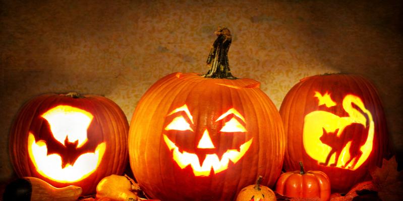 Name:  Historiaterrorunalinea (1).jpg
Views: 226
Size:  43.7 KB