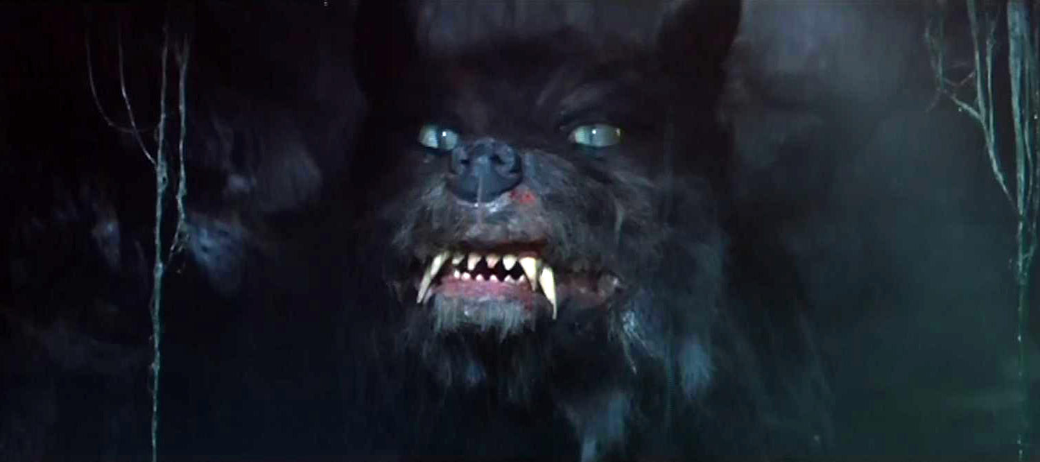 Name:  nulla.jpg
Views: 511
Size:  55.3 KB