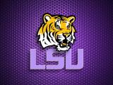 lsutigers527's Avatar