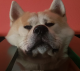 EddyGenesis's Avatar