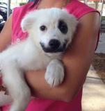 Charles1718's Avatar