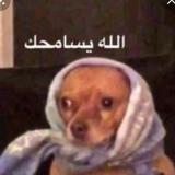 Mohammd2003's Avatar