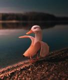 DaddySholps's Avatar