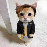 fatimahabdallh's Avatar