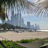 ifaarisai77's Avatar