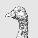 AlaejandroLex's Avatar