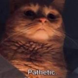 QuadKnotRogue's Avatar